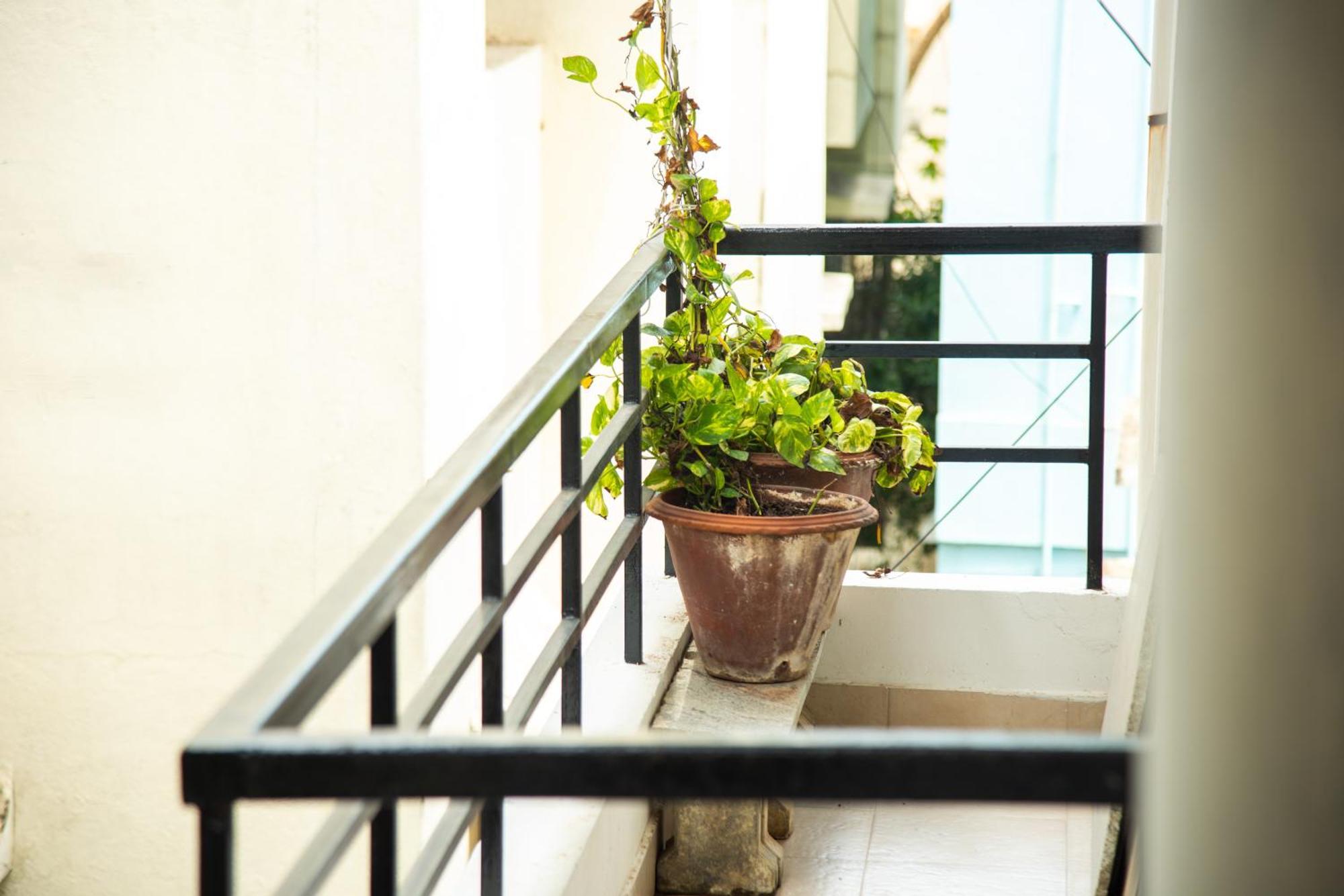Mama Rose Homestay In Madipakkam Chennai Eksteriør billede
